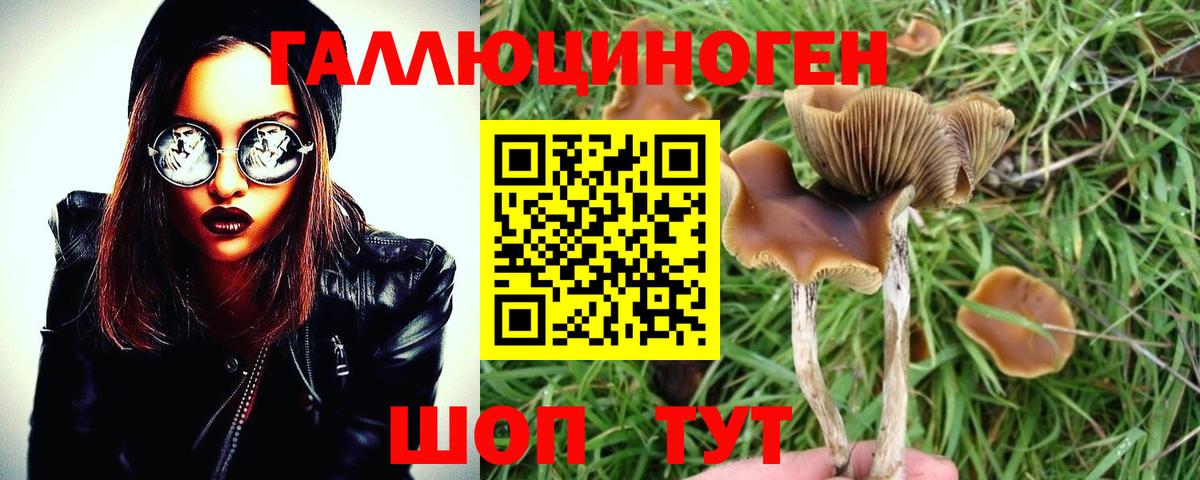 Керчь  Псилоцибиновые грибы MAGIC MUSHROOMS  Вход с VPN 